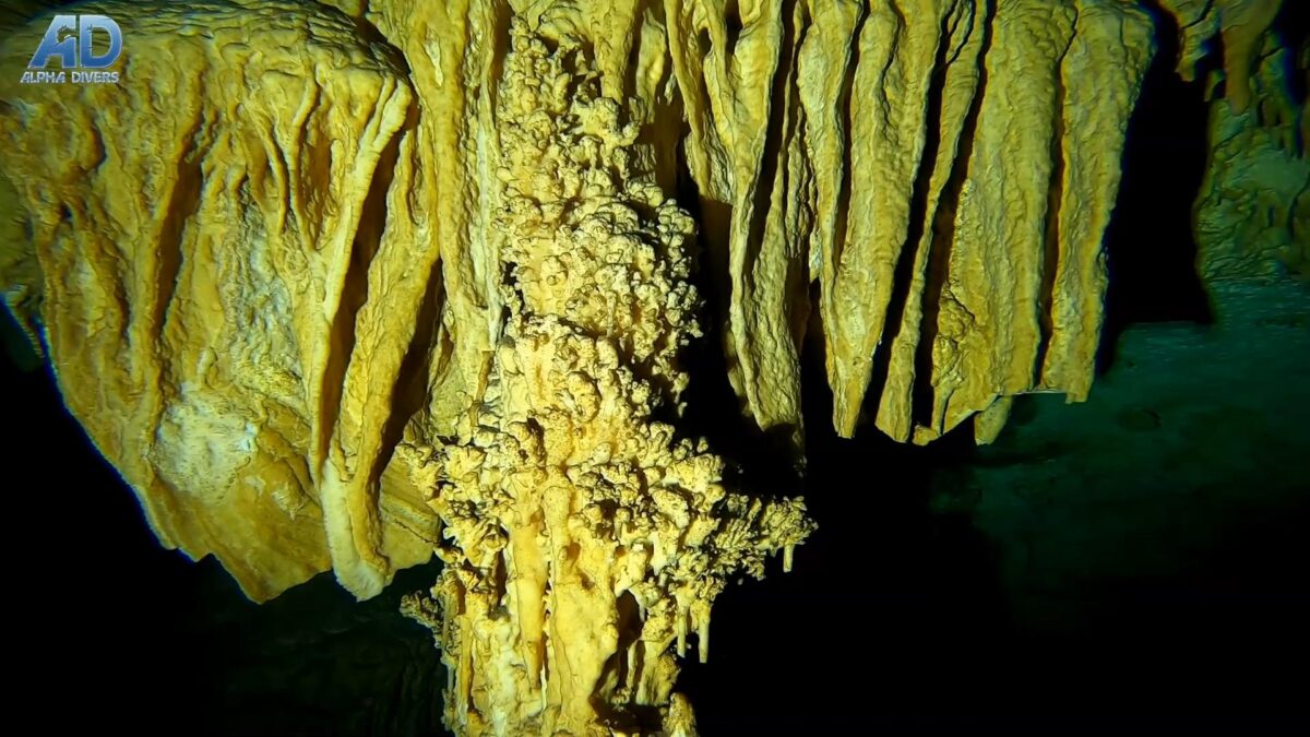 dreamgate cenoty meksyk nurkowanie rekreacyjne jaskiniowe kawernowe wyjazdy wyprawy nurkowe alpha-divers kursy nurkowania jaskiniowego