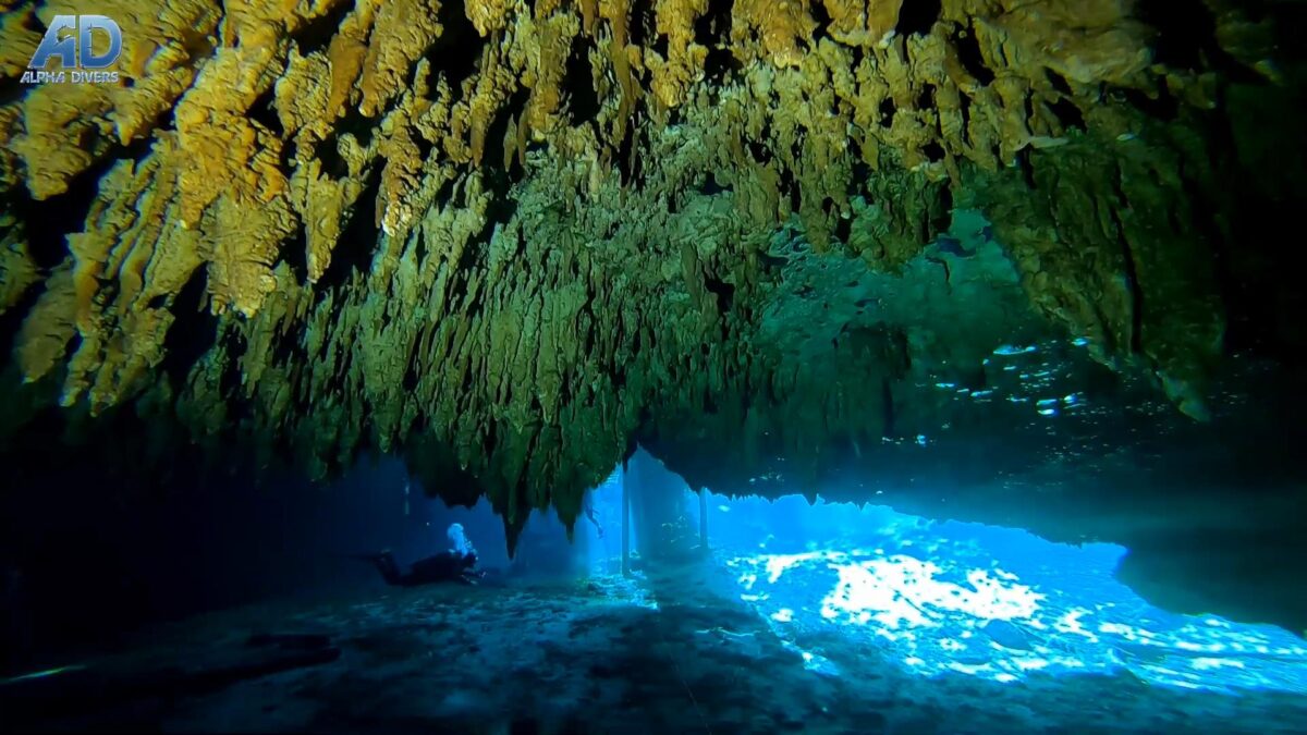 dreamgate cenoty meksyk nurkowanie rekreacyjne jaskiniowe kawernowe wyjazdy wyprawy nurkowe alpha-divers kursy nurkowania jaskiniowego