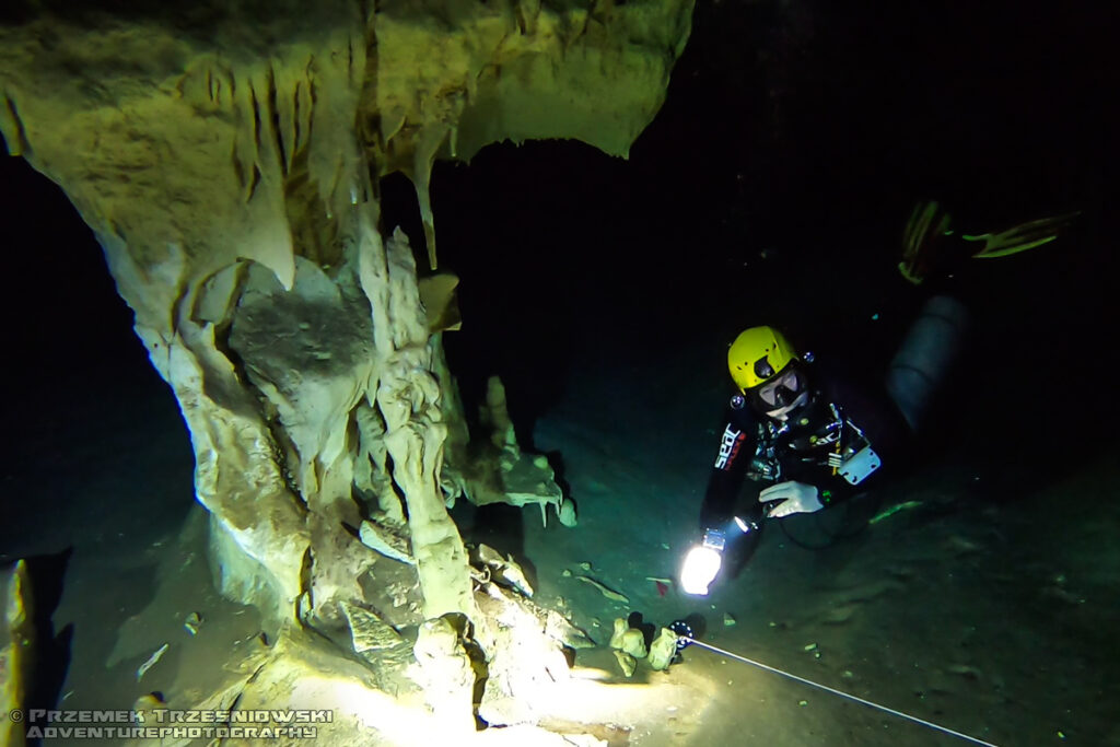 cenoty meksyk nurkowanie jaskiniowe alpha-divers wyprawy wyjazdy nurkowe kursy nurkowania w meksyku