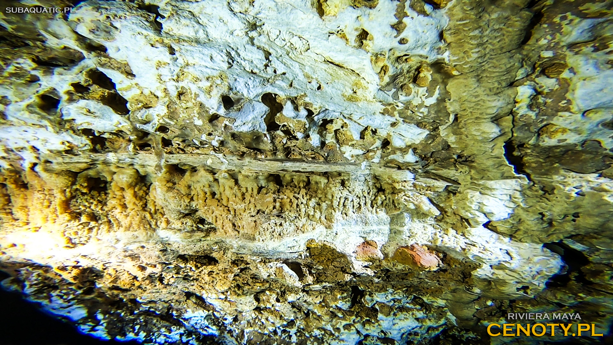 Cenote The Pit cenoty nurkowanie rekreacyjne jaskiniowe meksyk