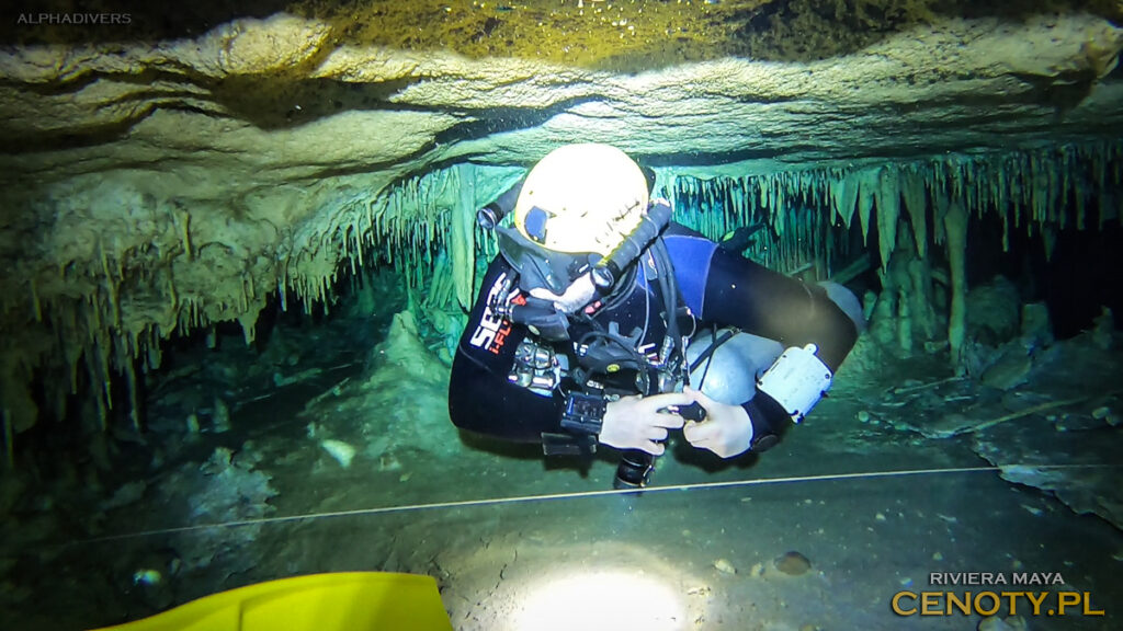 cenoty meksyk nurkowanie jaskiniowe alpha-divers wyprawy wyjazdy nurkowe kursy nurkowania jaskiniowego w meksyku