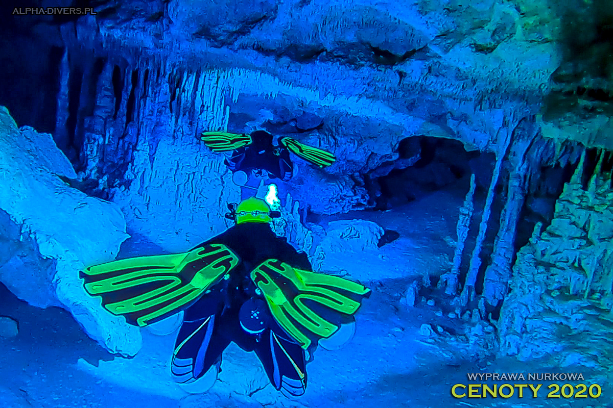 cenoty meksyk nurkowanie jaskiniowe alpha-divers wyprawy wyjazdy nurkowe kursy nurkowania jaskiniowego w meksyku