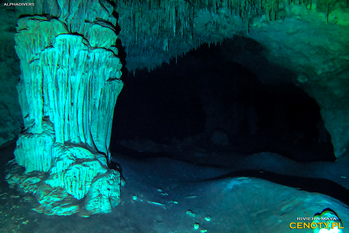 Cenote Nohoch Nah Chich Meksyk Cenoty nurkowanie jaskiniowe Jukatan Riviera Maya Mexico stalagnat