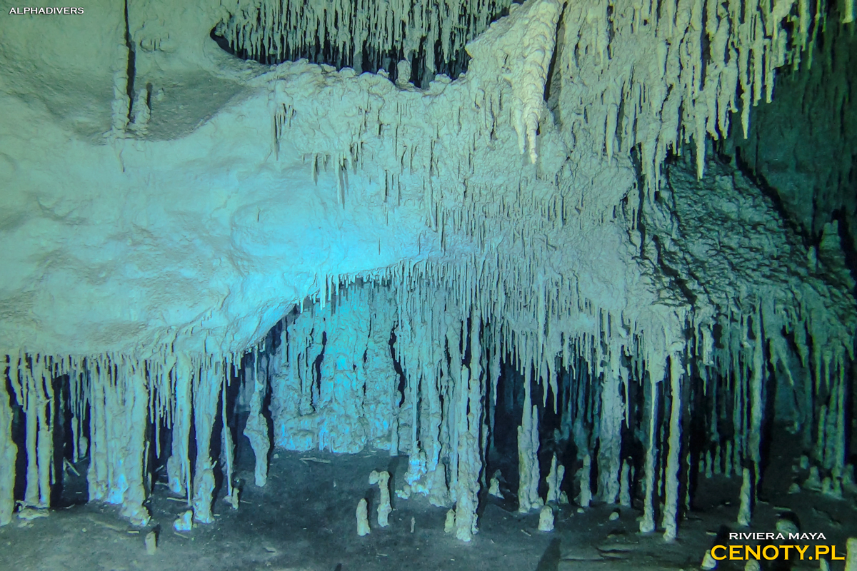 Cenote Nohoch Nah Chich Meksyk Cenoty nurkowanie jaskiniowe Jukatan Riviera Maya Mexico stalaktyt stalagnat