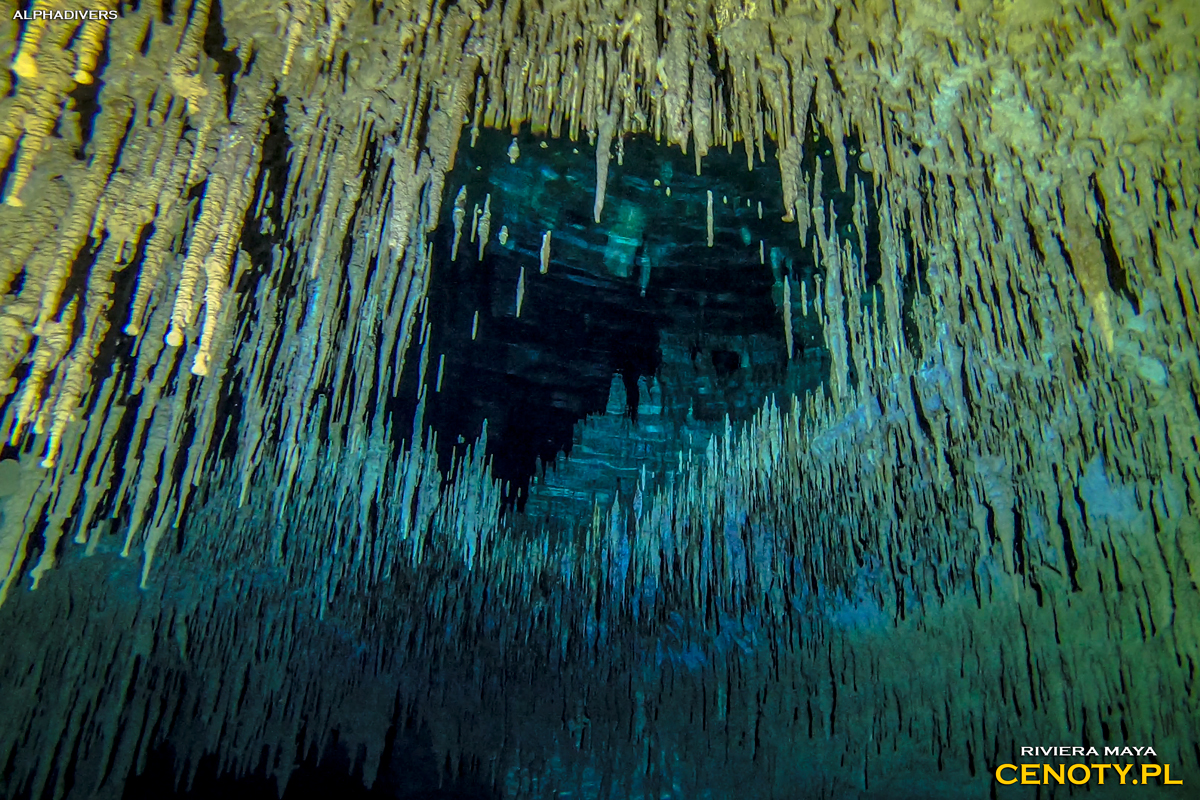 Cenote Nohoch Nah Chich Meksyk Cenoty nurkowanie jaskiniowe Jukatan Riviera Maya Mexico stalaktyt airdome poduszka powietrzna