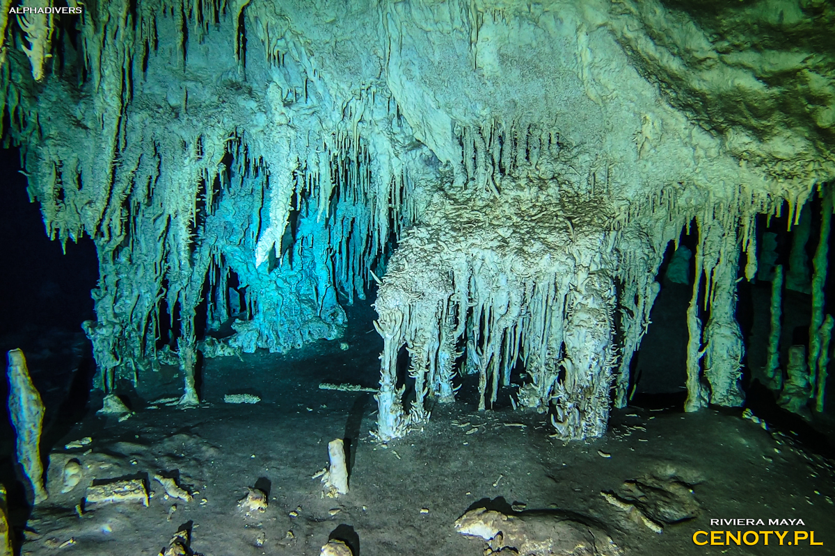 Cenote Nohoch Nah Chich Meksyk Cenoty nurkowanie jaskiniowe Jukatan Riviera Maya Mexico heliktyt
