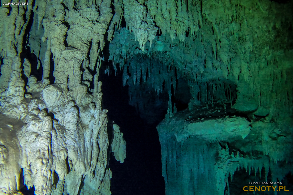 Cenote Nohoch Nah Chich Meksyk Cenoty nurkowanie jaskiniowe Jukatan Riviera Maya Mexico stalaktyt